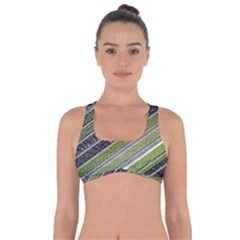 Field Agriculture Farm Stripes Diagonal Got No Strings Sports Bra