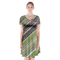 Field Agriculture Farm Stripes Diagonal Short Sleeve V-neck Flare Dress by Jancukart