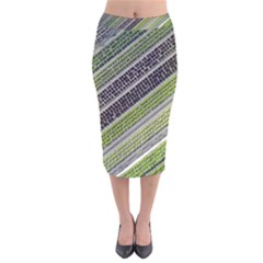 Field Agriculture Farm Stripes Diagonal Velvet Midi Pencil Skirt