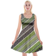 Field Agriculture Farm Stripes Diagonal Reversible Velvet Sleeveless Dress by Jancukart