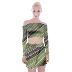 Field Agriculture Farm Stripes Diagonal Off Shoulder Top With Mini Skirt Set