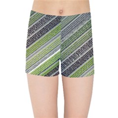 Field Agriculture Farm Stripes Diagonal Kids  Sports Shorts