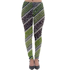 Field Agriculture Farm Stripes Diagonal Lightweight Velour Leggings