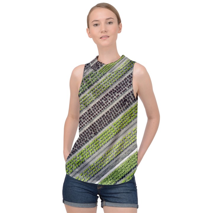 Field Agriculture Farm Stripes Diagonal High Neck Satin Top