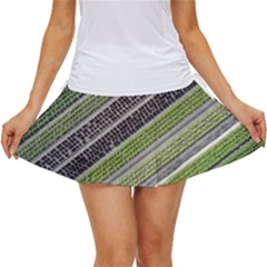 Field Agriculture Farm Stripes Diagonal Women s Skort