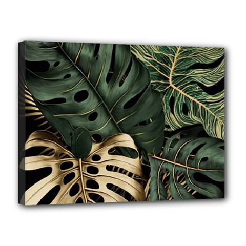 Tropical Leaves Foliage Monstera Nature Home Art Canvas 16  X 12  (stretched)