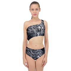 Lion Furious Abstract Desing Furious Spliced Up Two Piece Swimsuit