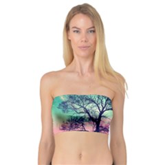 Tree Abstract Field Galaxy Night Nature Bandeau Top