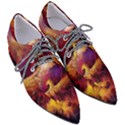 Phoenix Bird Pointed Oxford Shoes View3