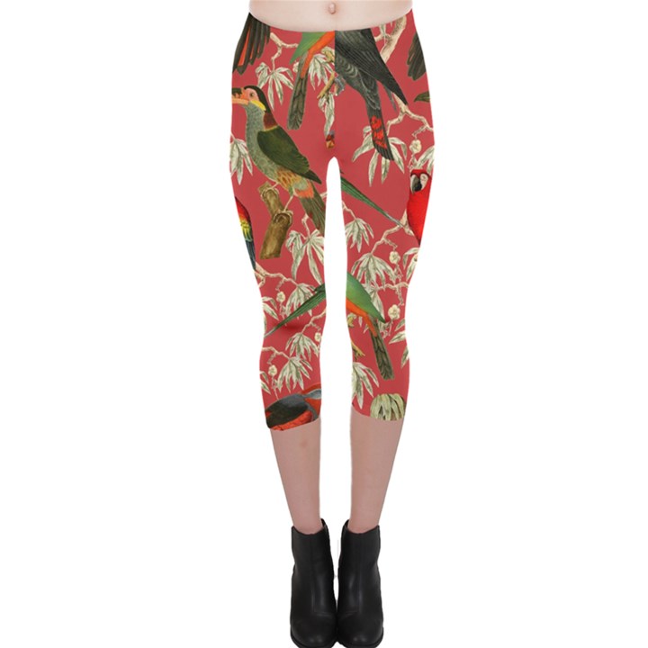 Vintage Tropical Birds Pattern in Pink Capri Leggings 