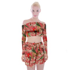 Vintage Tropical Birds Pattern In Pink Off Shoulder Top With Mini Skirt Set by CCBoutique