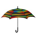 Colorful Background Hook Handle Umbrellas (Large) View3