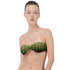 Zig Zag Chevron Classic Pattern Classic Bandeau Bikini Top  by Semog4