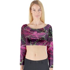 Abstract Beautiful Beauty Bright Long Sleeve Crop Top by Semog4