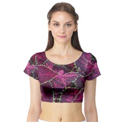 Abstract Beautiful Beauty Bright Short Sleeve Crop Top by Semog4