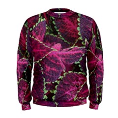 Abstract Beautiful Beauty Bright Men s Sweatshirt by Semog4