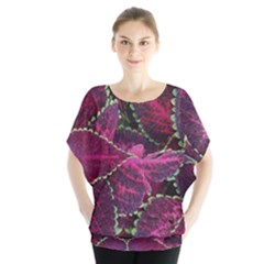 Abstract Beautiful Beauty Bright Batwing Chiffon Blouse