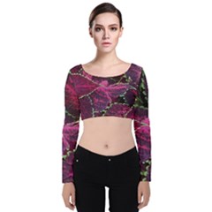 Abstract Beautiful Beauty Bright Velvet Long Sleeve Crop Top by Semog4