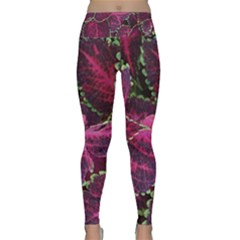 Abstract Beautiful Beauty Bright Lightweight Velour Classic Yoga Leggings by Semog4