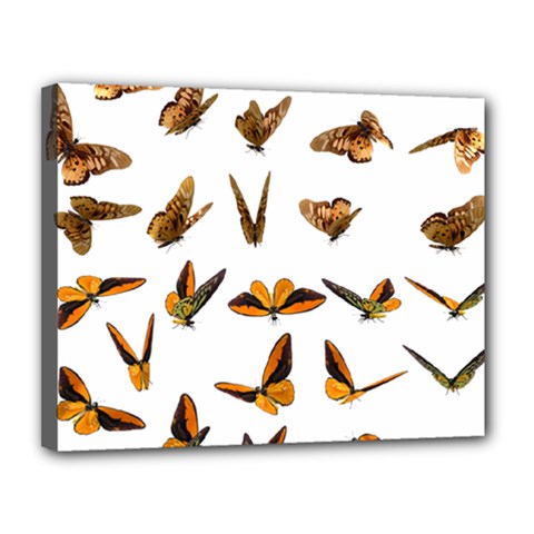 Butterfly Butterflies Insect Swarm Canvas 14  X 11  (stretched) by Salman4z