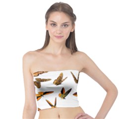 Butterfly Butterflies Insect Swarm Tube Top by Salman4z