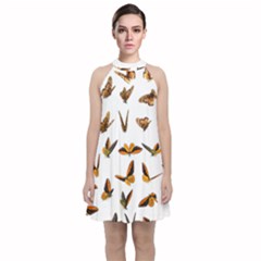 Butterfly Butterflies Insect Swarm Velvet Halter Neckline Dress  by Salman4z