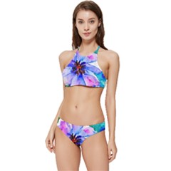 220cde476e6c434b8bbbaee3fd39d8f1 Banded Triangle Bikini Set