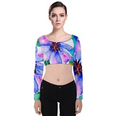 220cde476e6c434b8bbbaee3fd39d8f1 Velvet Long Sleeve Crop Top by Fhkhan22