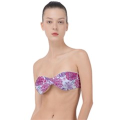 Red And Pink Flowers Vector Art Asters Patterns Backgrounds Classic Bandeau Bikini Top  by Salman4z