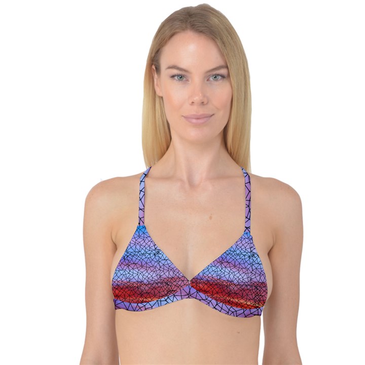 Picsart 23-05-09 13-03-51-750 Reversible Tri Bikini Top