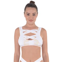 Boxing Cat Bandaged Up Bikini Top by JayEdden