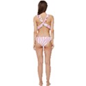 Pink Zebra Vibes Animal Print  Low Cut Ruffle Edge Bikini Set View4