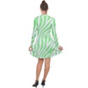 Green Zebra Vibes Animal Print  Long Sleeve Panel Dress View2