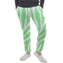 Green Zebra Vibes Animal Print  Men s Jogger Sweatpants View1