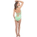 Green Zebra Vibes Animal Print  Halter Front Plunge Swimsuit View2