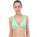 Green Zebra Vibes Animal Print  Classic Banded Bikini Top View1