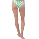 Green Zebra Vibes Animal Print  Ring Detail Bikini Bottoms View2