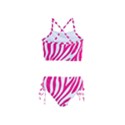 Pink Fucsia Zebra Vibes Animal Print Girls  Tankini Swimsuit View2