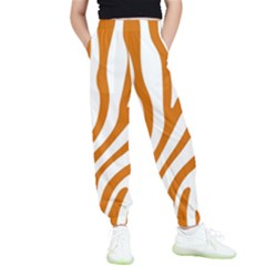 Orange Zebra Vibes Animal Print   Kids  Elastic Waist Pants by ConteMonfrey