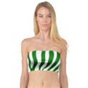 Dark green Zebra Vibes Animal Print Bandeau Top View1