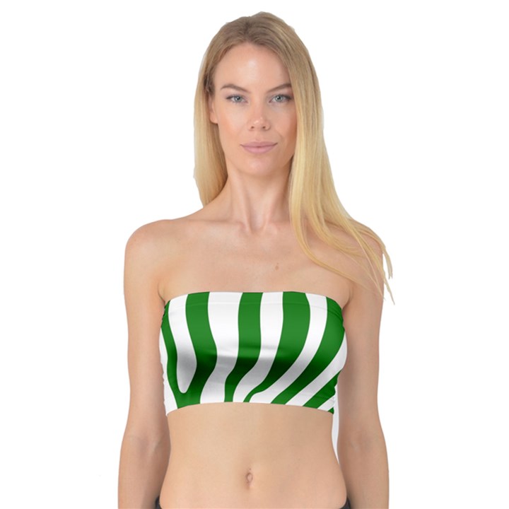 Dark green Zebra Vibes Animal Print Bandeau Top