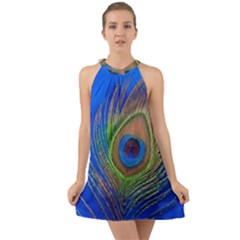 Blue Peacock Feather Halter Tie Back Chiffon Dress by Amaryn4rt