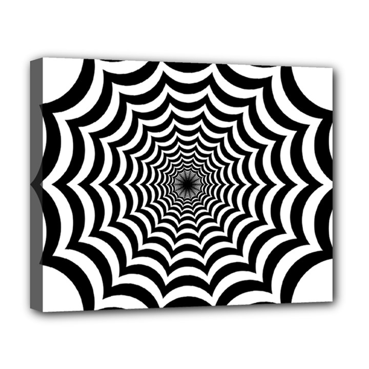 Spider Web Hypnotic Deluxe Canvas 20  x 16  (Stretched)