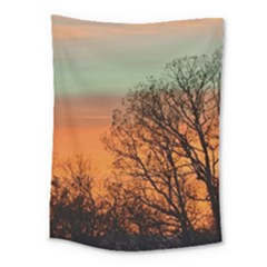 Twilight Sunset Sky Evening Clouds Medium Tapestry by Amaryn4rt