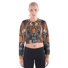 Tiger Animal Feline Predator Portrait Carnivorous Cropped Sweatshirt