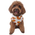 Orange Dog Sweater View1