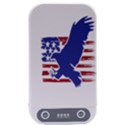 Usa Flag Eagle Symbol American Bald Eagle Country Sterilizers View1