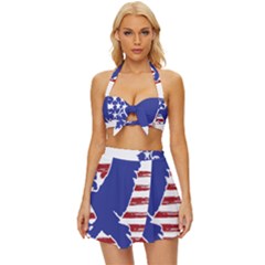 Usa Flag Eagle Symbol American Bald Eagle Country Vintage Style Bikini Top And Skirt Set  by Wegoenart