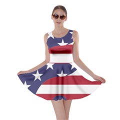 Yang Yin America Flag Abstract Art Asian Balance Skater Dress by Wegoenart