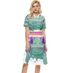 Frog Animal Sun Amphibian Figure Digital Art Button Top Knee Length Dress by Wegoenart